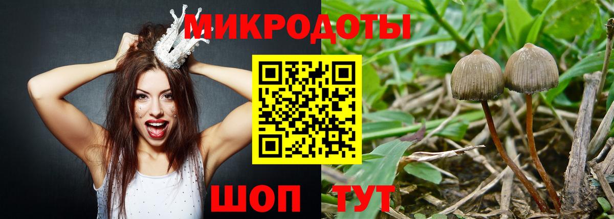 где найти   Галлюциногенные грибы Psilocybe  Вход с VPN  Свободный 