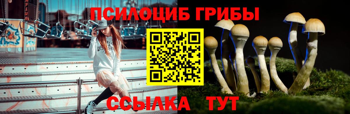 Галлюциногенные грибы мухоморы Свободный